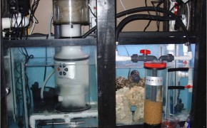 aquarium sump setup