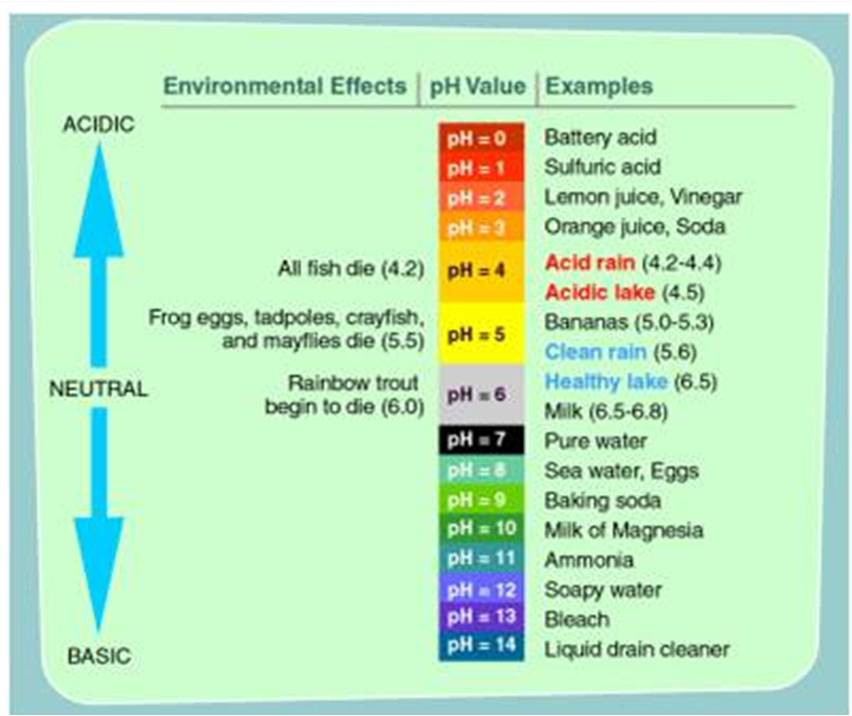 PH In Marine Aquariums Reef Aquarium